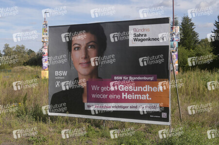Wahlplakate in Bernau bei Berlin