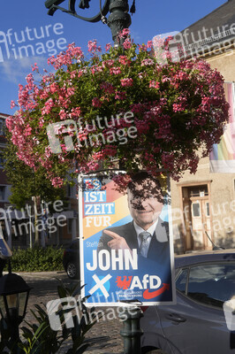 Wahlplakate in Bernau bei Berlin