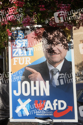 Wahlplakate in Bernau bei Berlin