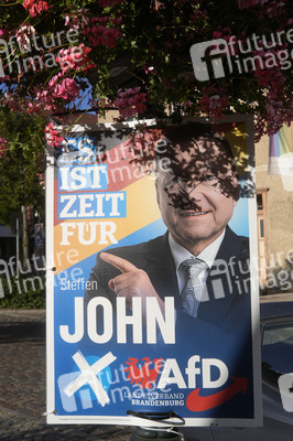 Wahlplakate in Bernau bei Berlin