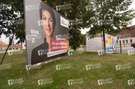Wahlplakate in Brandenburg