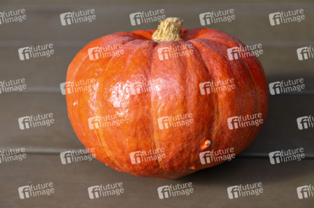 Symbolfoto Kürbis