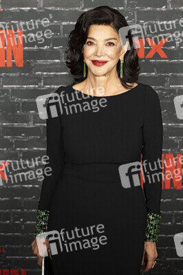 Serienpremiere 'The Penguin' in New York