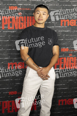 Serienpremiere 'The Penguin' in New York