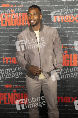 Serienpremiere 'The Penguin' in New York