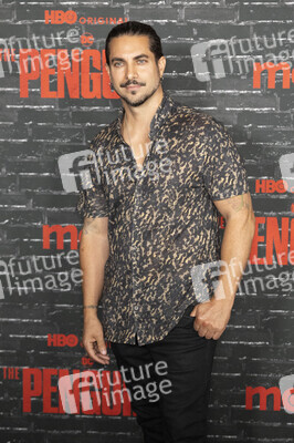 Serienpremiere 'The Penguin' in New York