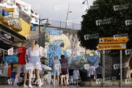 Sightseeing Los Cristianos