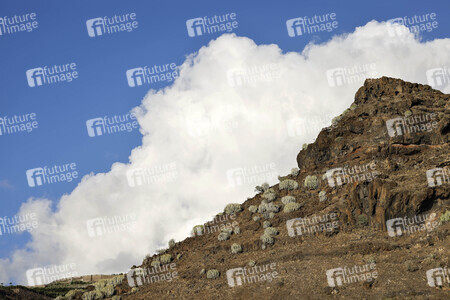 Sightseeing La Palma