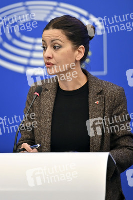 Pressekonferenz im Europäischen Parlament in Straßburg