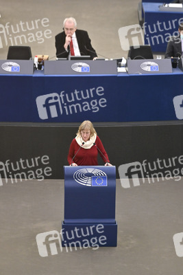 Plenartagung im Europäischen Parlament in Straßburg