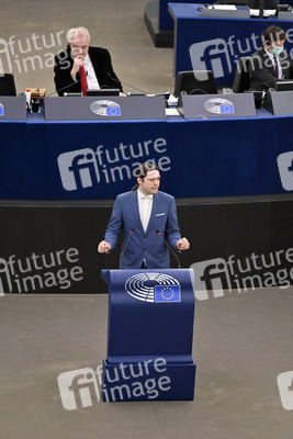 Plenartagung im Europäischen Parlament in Straßburg