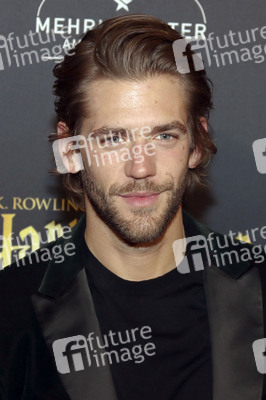 Musicalpremiere 'Harry Potter und das verwunschene Kind' in Hamburg