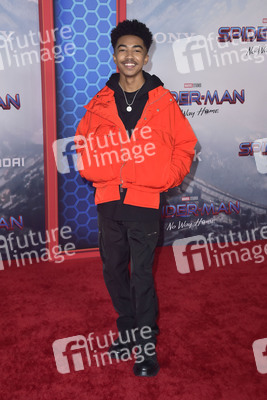 Filmpremiere 'Spider-Man: No Way Home' in Los Angeles