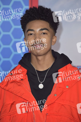 Filmpremiere 'Spider-Man: No Way Home' in Los Angeles