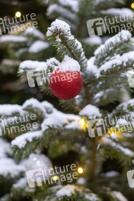 Symbolfoto Weihnachtsbaum