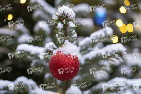 Symbolfoto Weihnachtsbaum