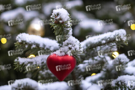 Symbolfoto Weihnachtsbaum