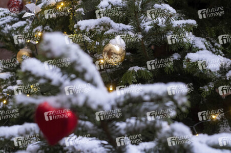 Symbolfoto Weihnachtsbaum