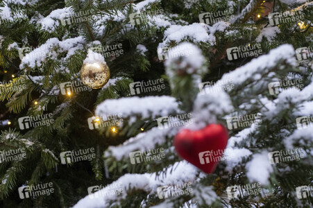 Symbolfoto Weihnachtsbaum