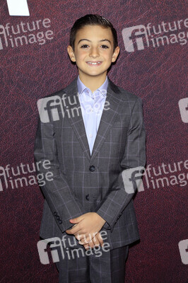 Filmpremiere 'The Tender Bar' in Los Angeles