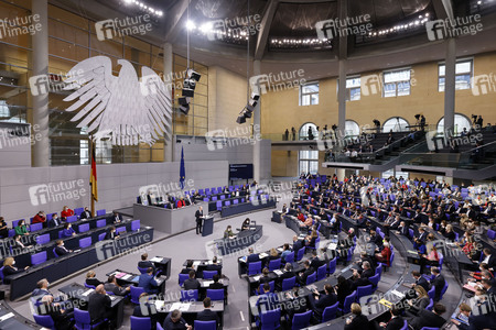 8. Sitzung des Deutschen Bundestages in Berlin
