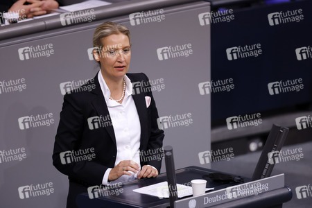 8. Sitzung des Deutschen Bundestages in Berlin