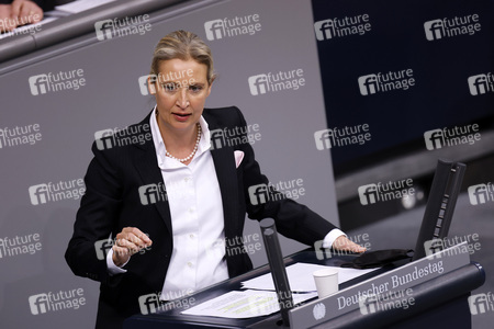 8. Sitzung des Deutschen Bundestages in Berlin