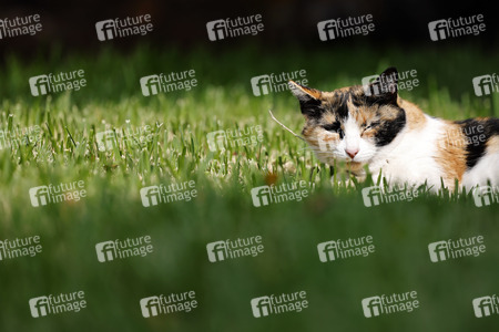 Symbolfoto Nickerchen