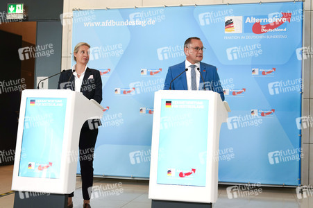 Fraktionssitzung der AfD-Bundestagsfraktion in Berlin