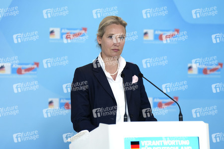 Fraktionssitzung der AfD-Bundestagsfraktion in Berlin