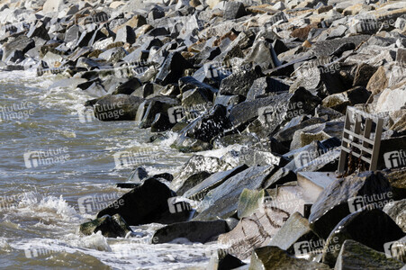 Sightseeing Sassnitz