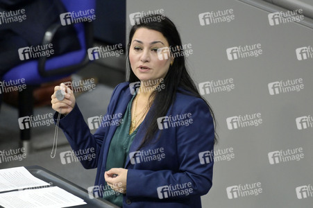 191. Sitzung des Deutschen Bundestages in Berlin