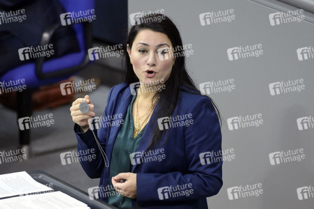 191. Sitzung des Deutschen Bundestages in Berlin