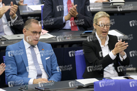 191. Sitzung des Deutschen Bundestages in Berlin