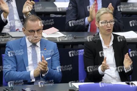 191. Sitzung des Deutschen Bundestages in Berlin