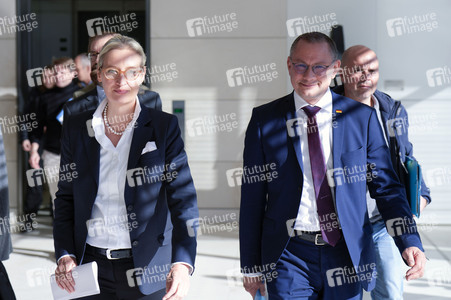 Fraktionssitzung der AfD-Bundestagsfraktion in Berlin