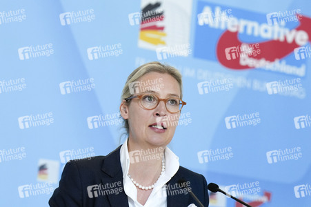 Fraktionssitzung der AfD-Bundestagsfraktion in Berlin