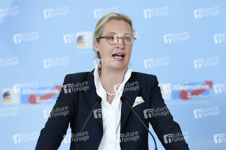 Fraktionssitzung der AfD-Bundestagsfraktion in Berlin