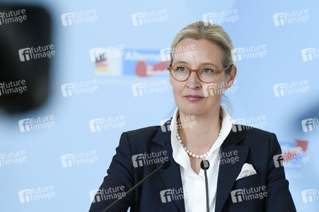 Fraktionssitzung der AfD-Bundestagsfraktion in Berlin