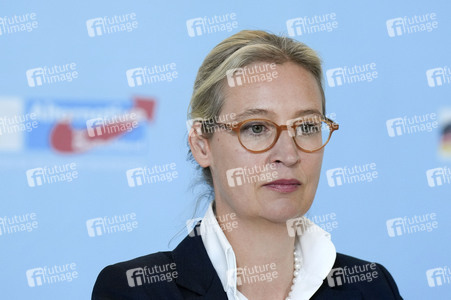 Fraktionssitzung der AfD-Bundestagsfraktion in Berlin