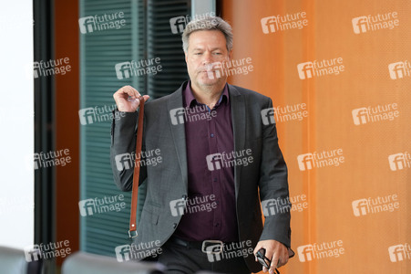 117. Sitzung des Bundeskabinetts in Berlin