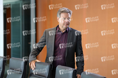 117. Sitzung des Bundeskabinetts in Berlin