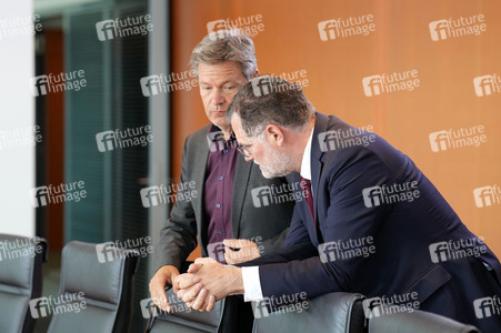 117. Sitzung des Bundeskabinetts in Berlin