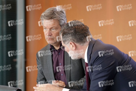 117. Sitzung des Bundeskabinetts in Berlin