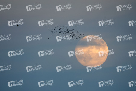 Vollmond über Landsberg