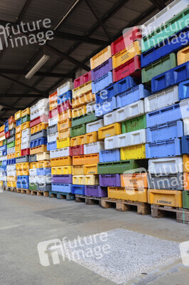 Symbolfoto Fischkisten