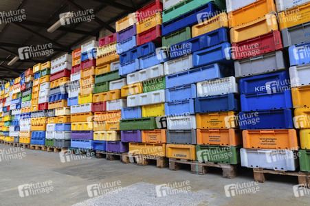 Symbolfoto Fischkisten