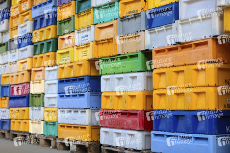 Symbolfoto Fischkisten