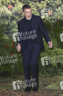 Filmpremiere 'Paddington in Peru' in London