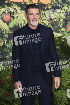 Filmpremiere 'Paddington in Peru' in London